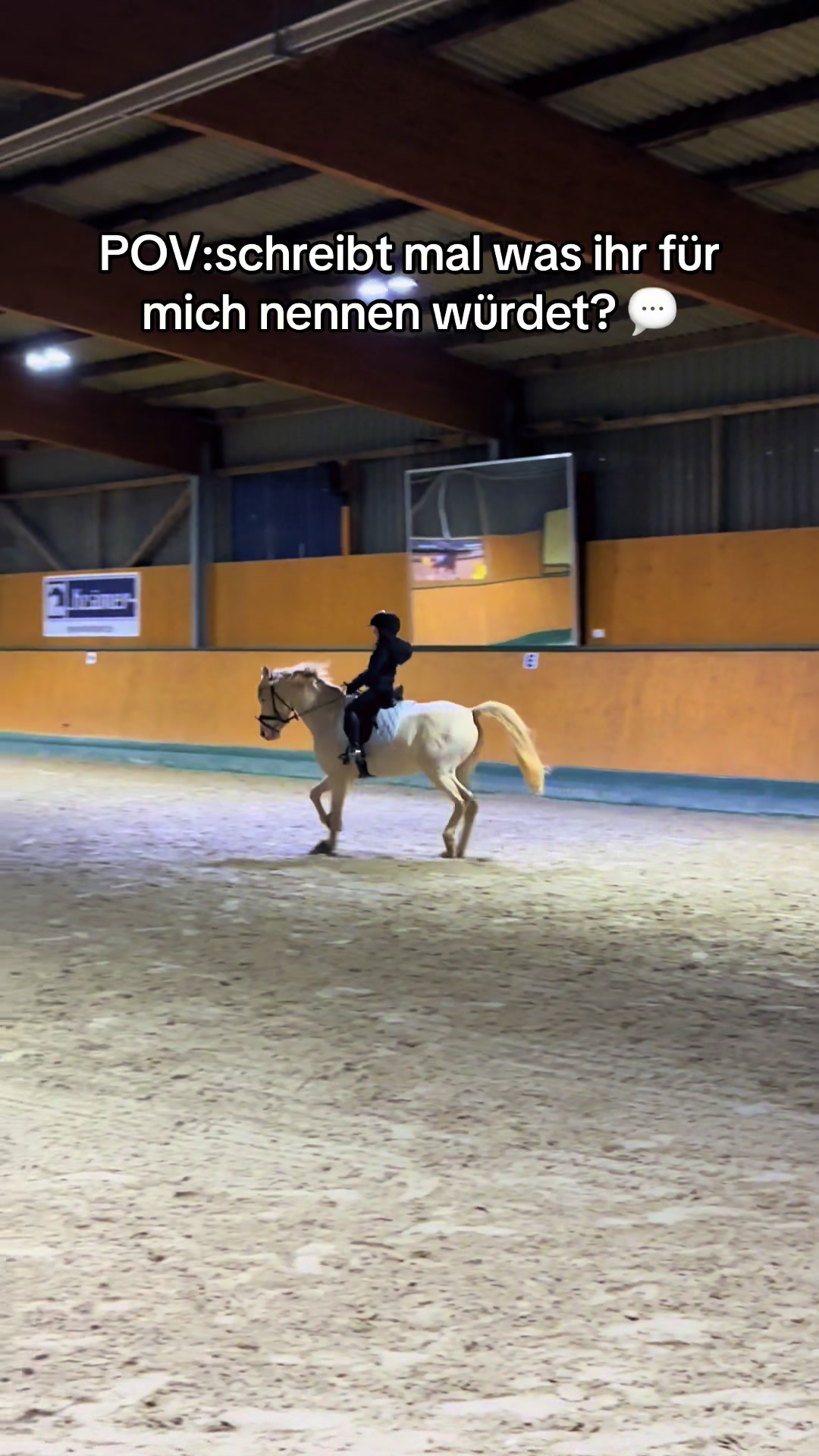 @Shanea & ihre Ponys ♥️🐴