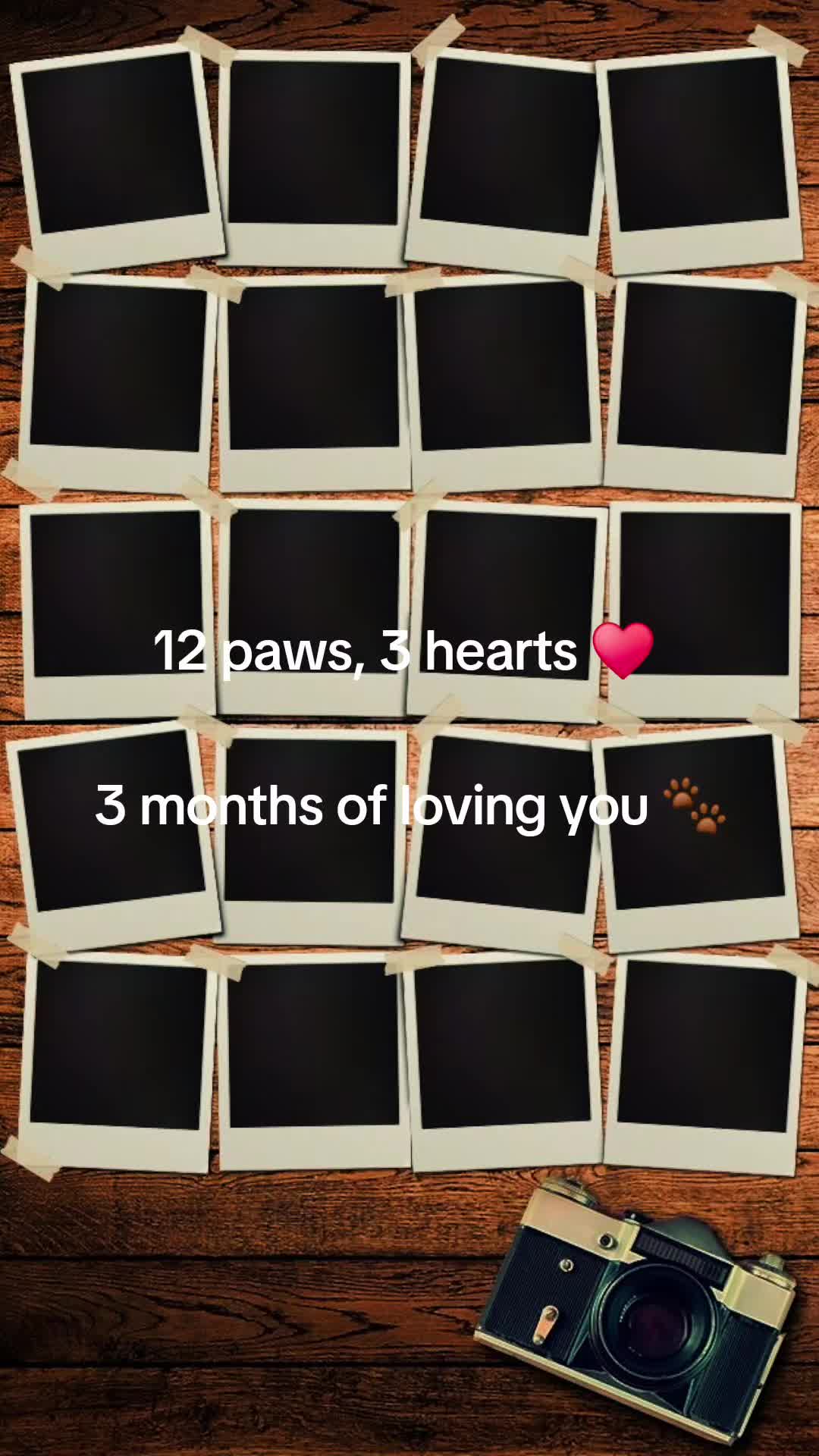 @♥️♡Rach♡💙🤍💘💚
