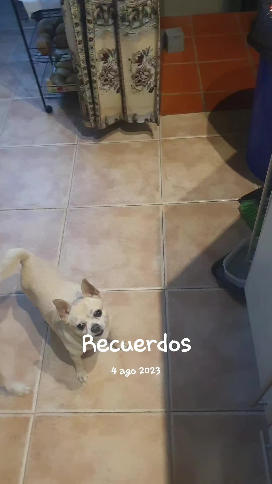 @bycgranada