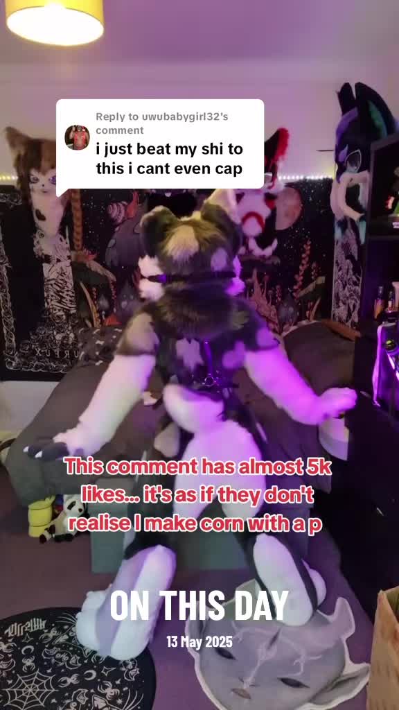 @Bailey (lilpixiekitten)