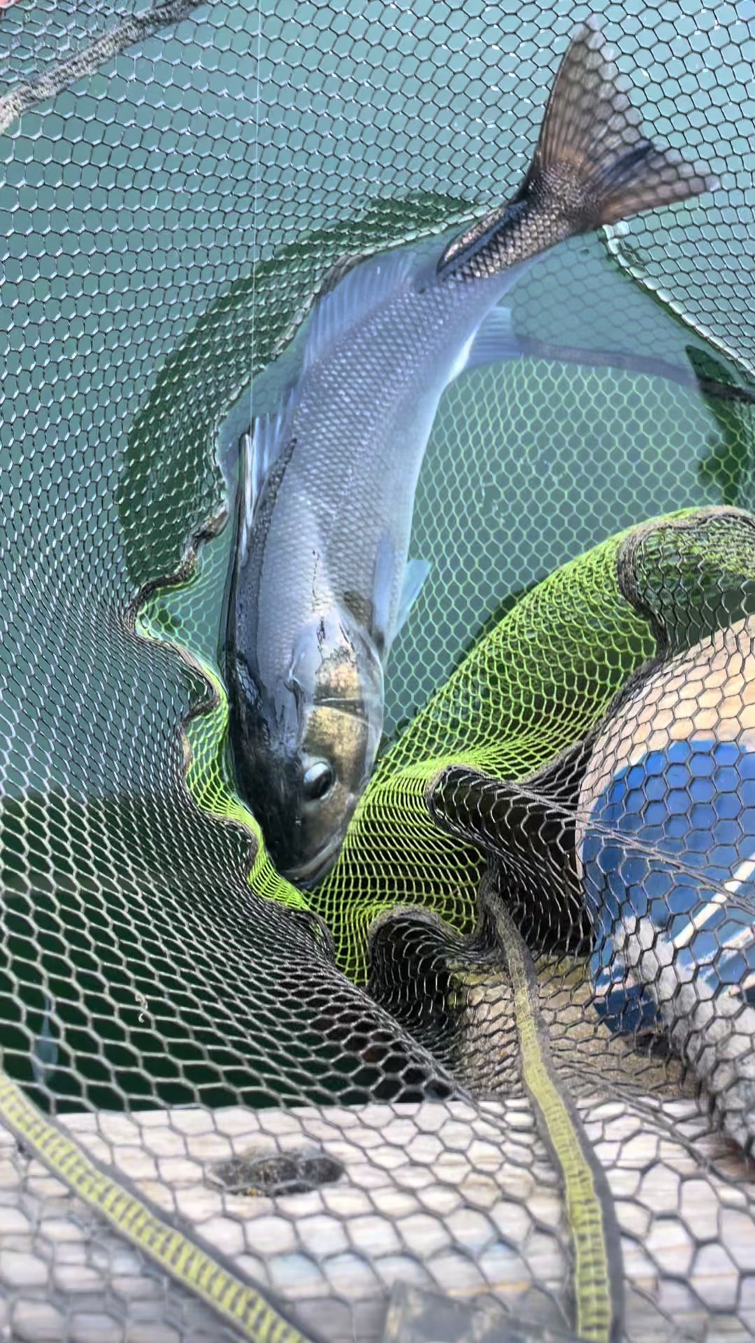 @kh.angling
