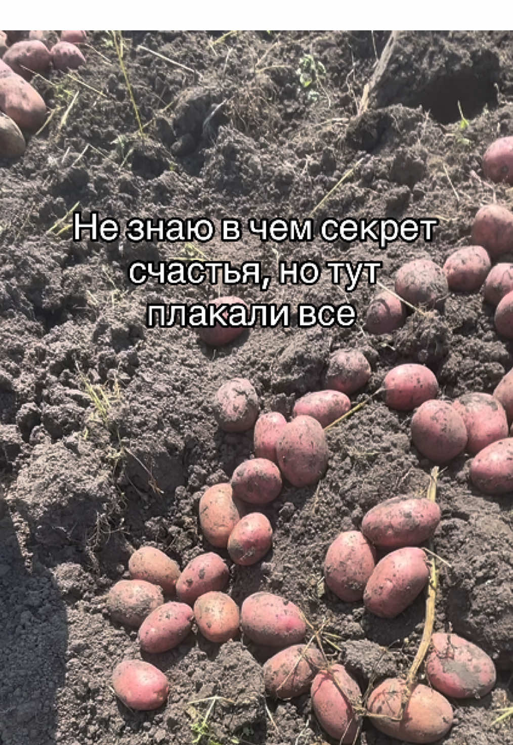 @танцанутая