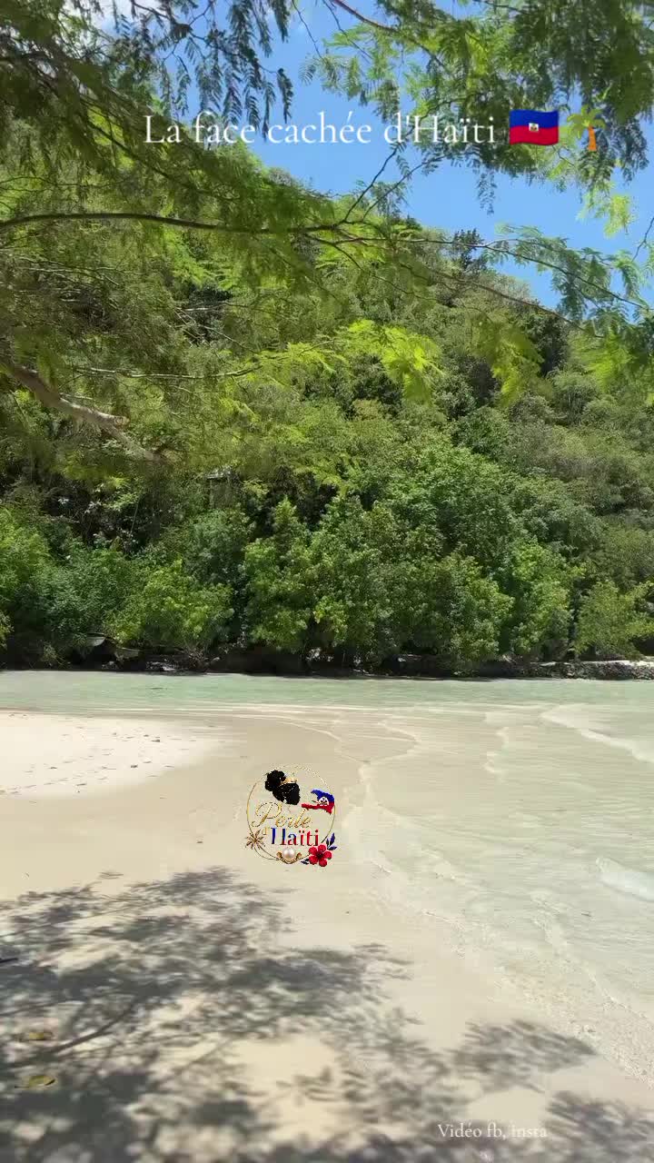 @🌴PERLE D'HAÏTI 🌴