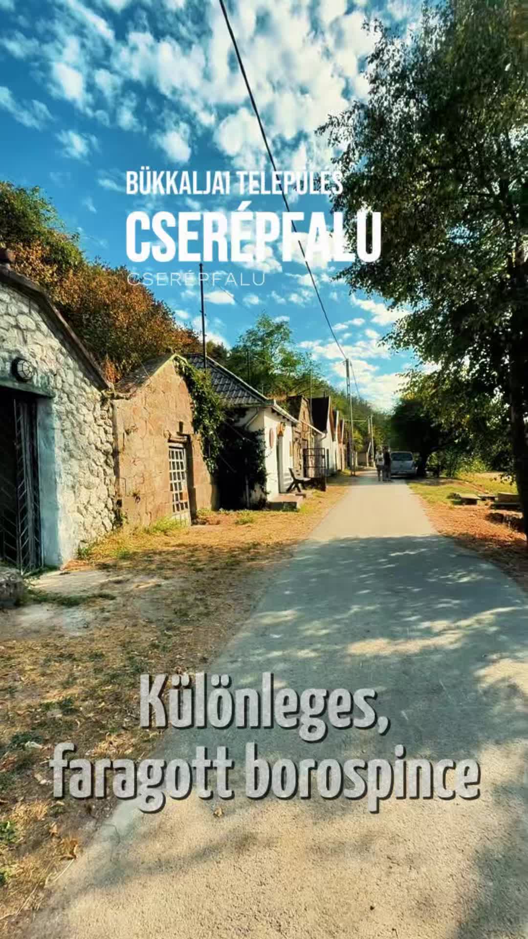 @TOP INGATLAN MEZŐKÖVESD