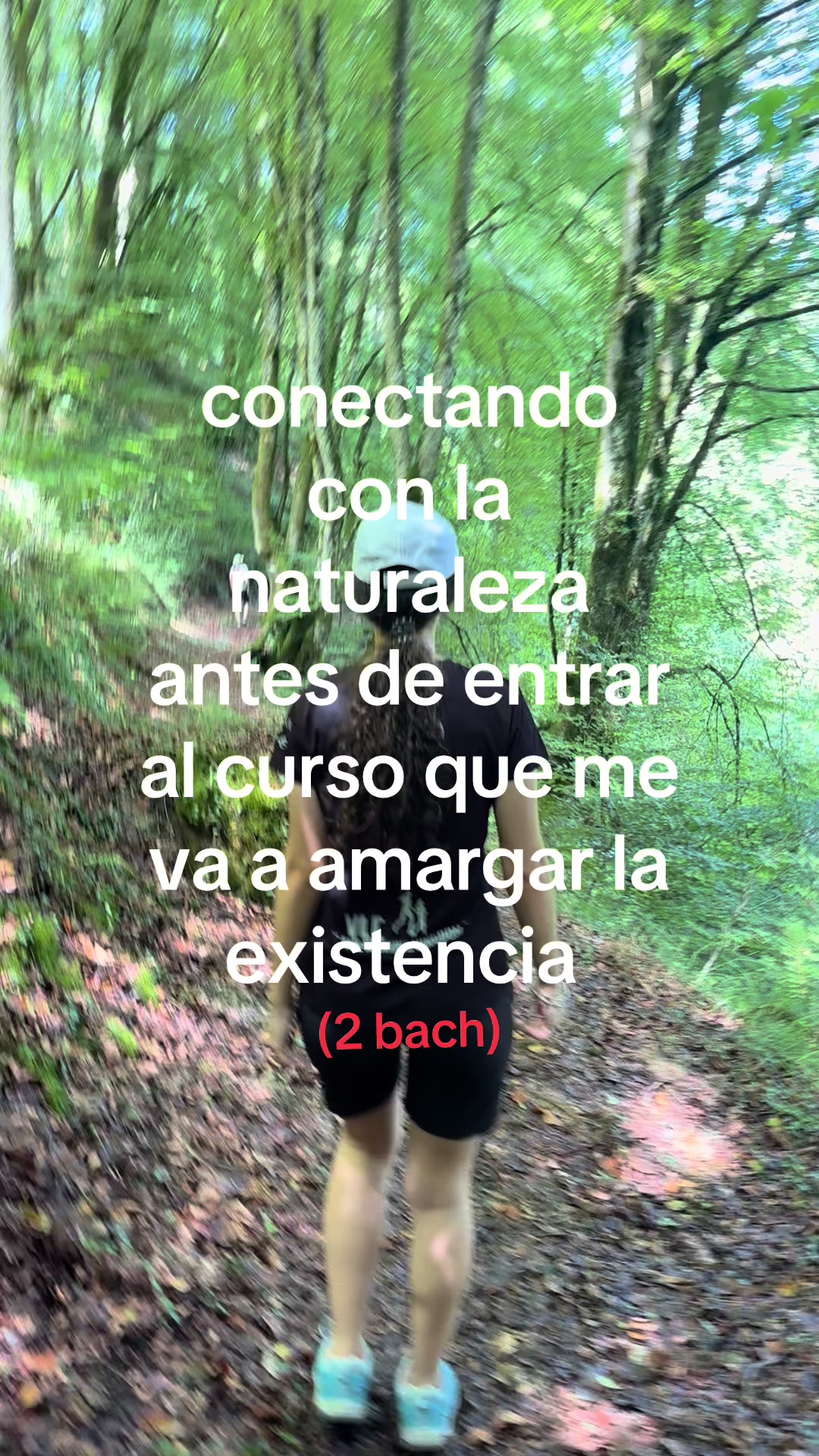 @chachipistachi__