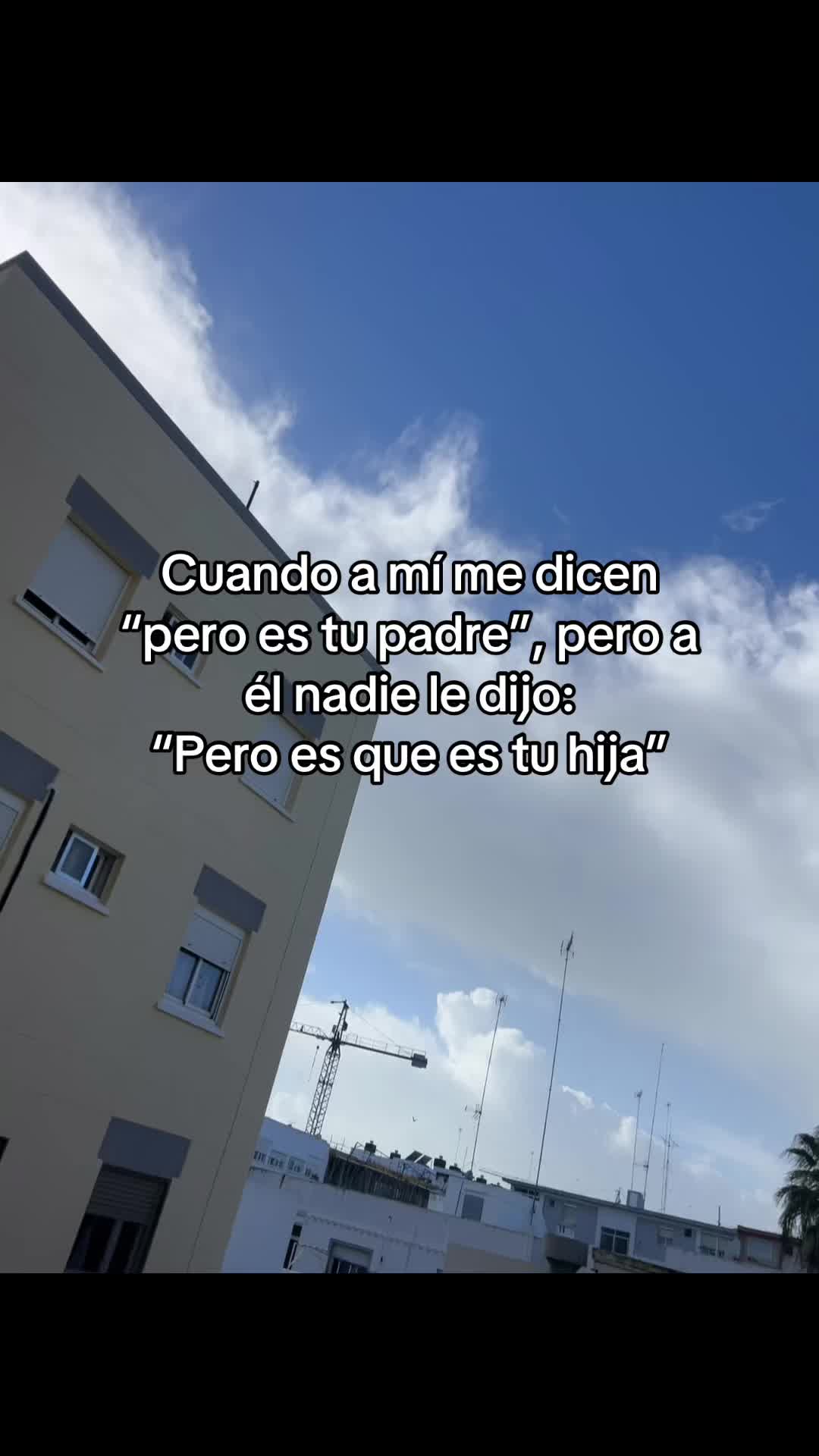 @cotitooo655