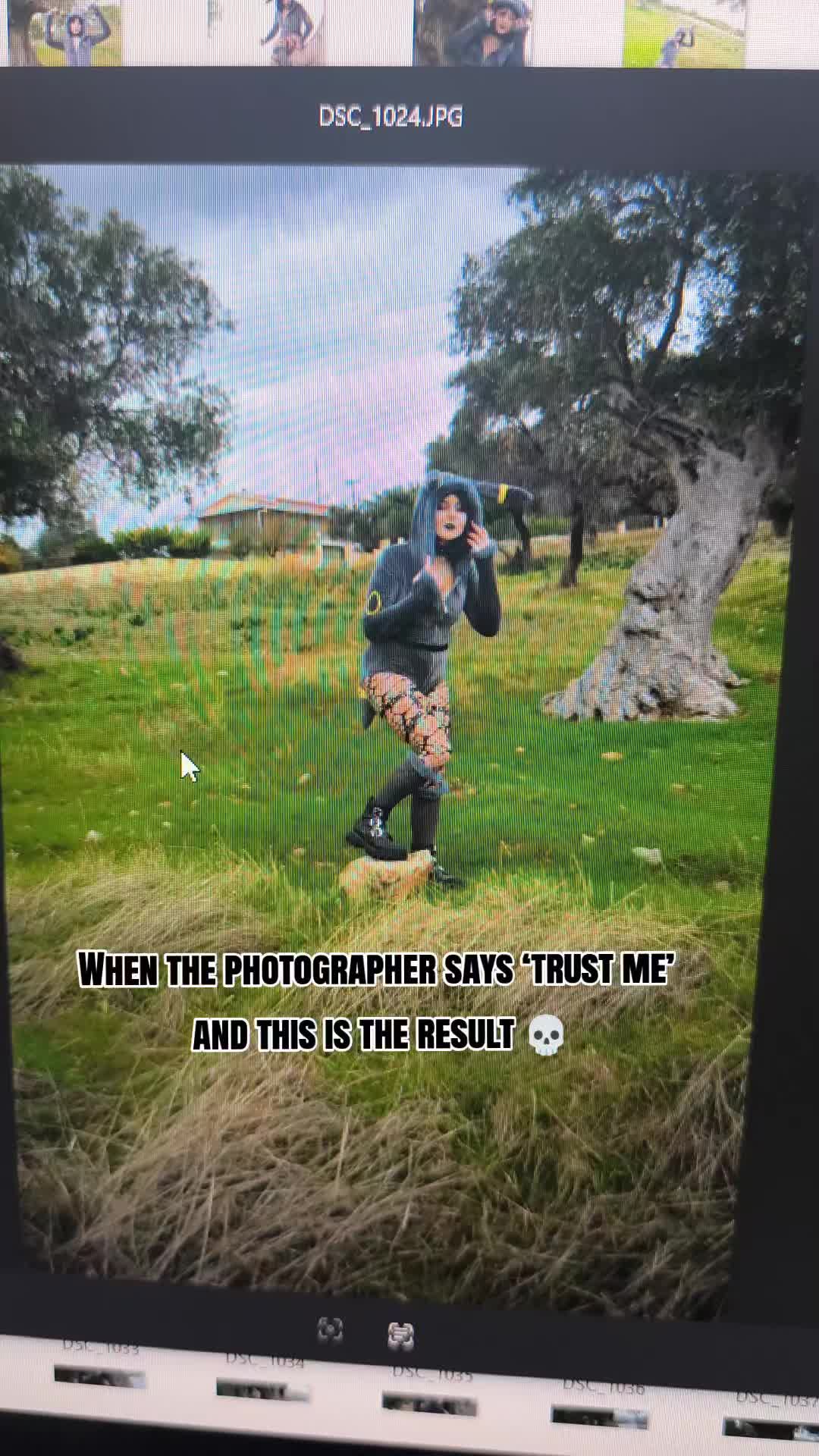 @hippity.hoppity_
