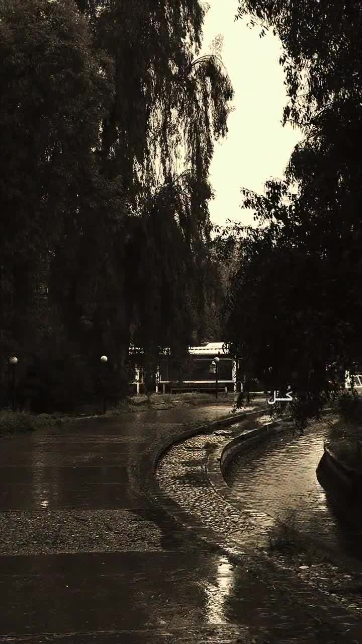 @ستوريات 🎶