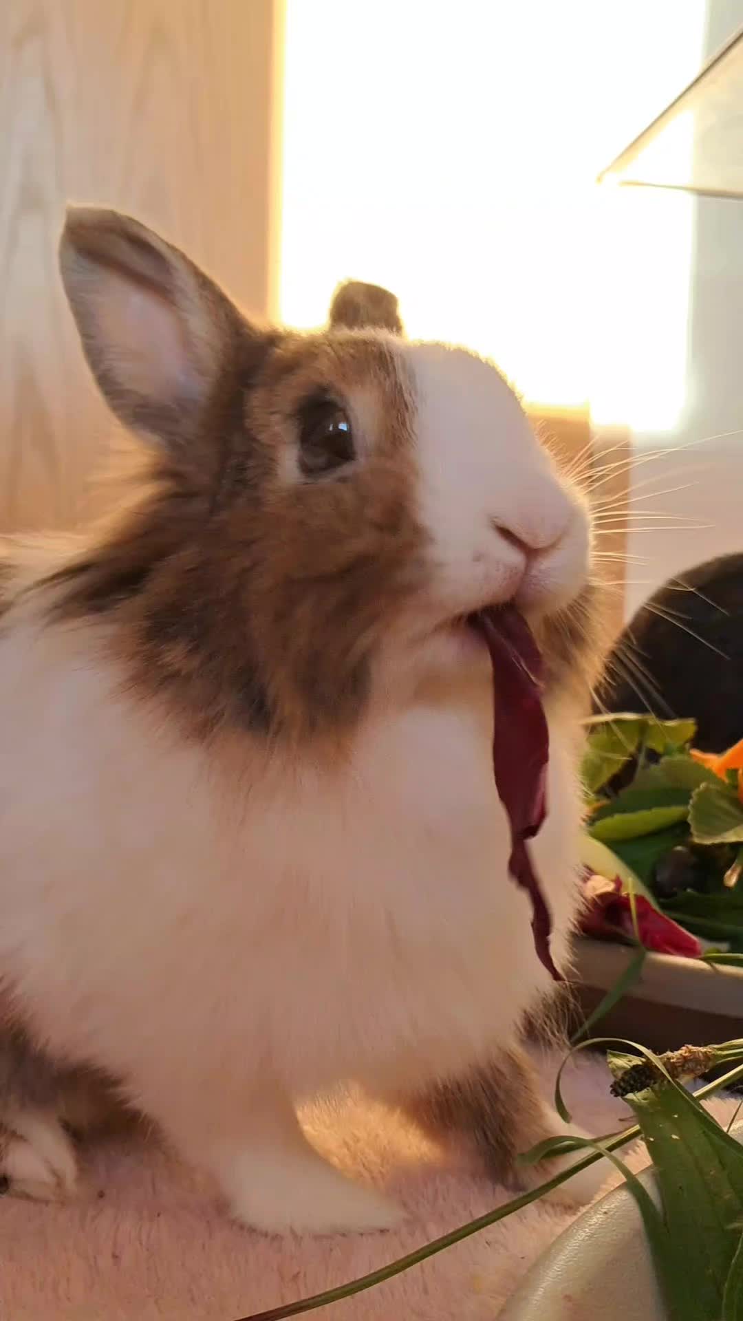 @<3