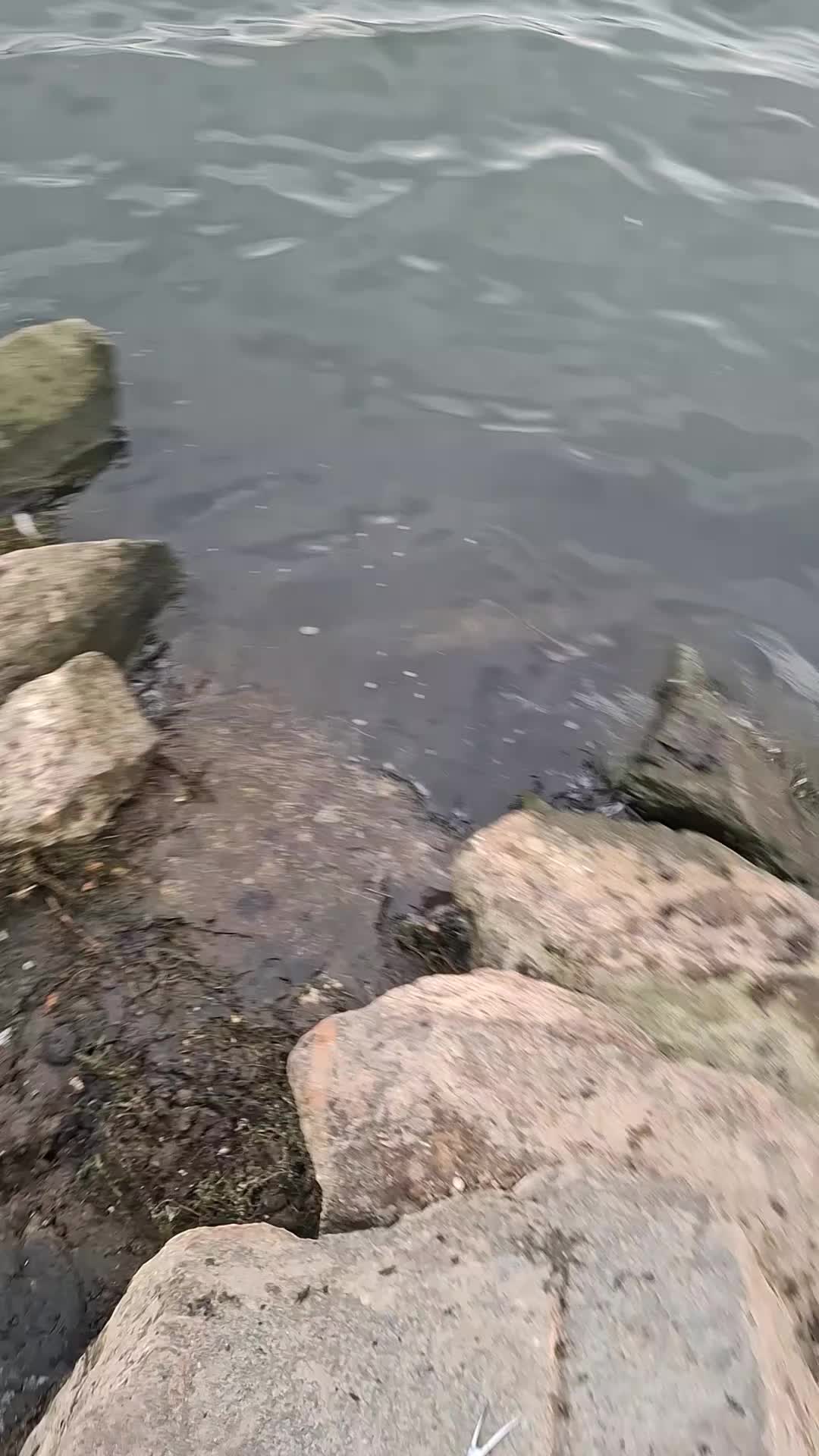 @fishing
