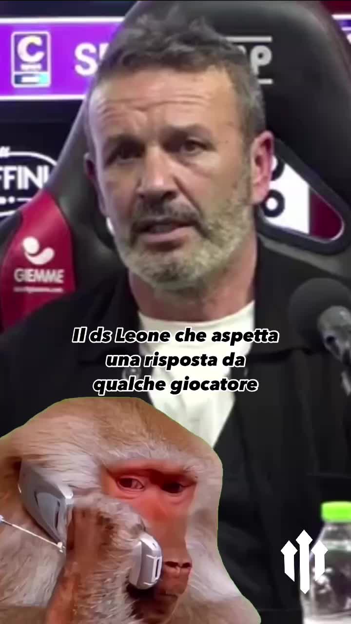 @Spazio Foggia