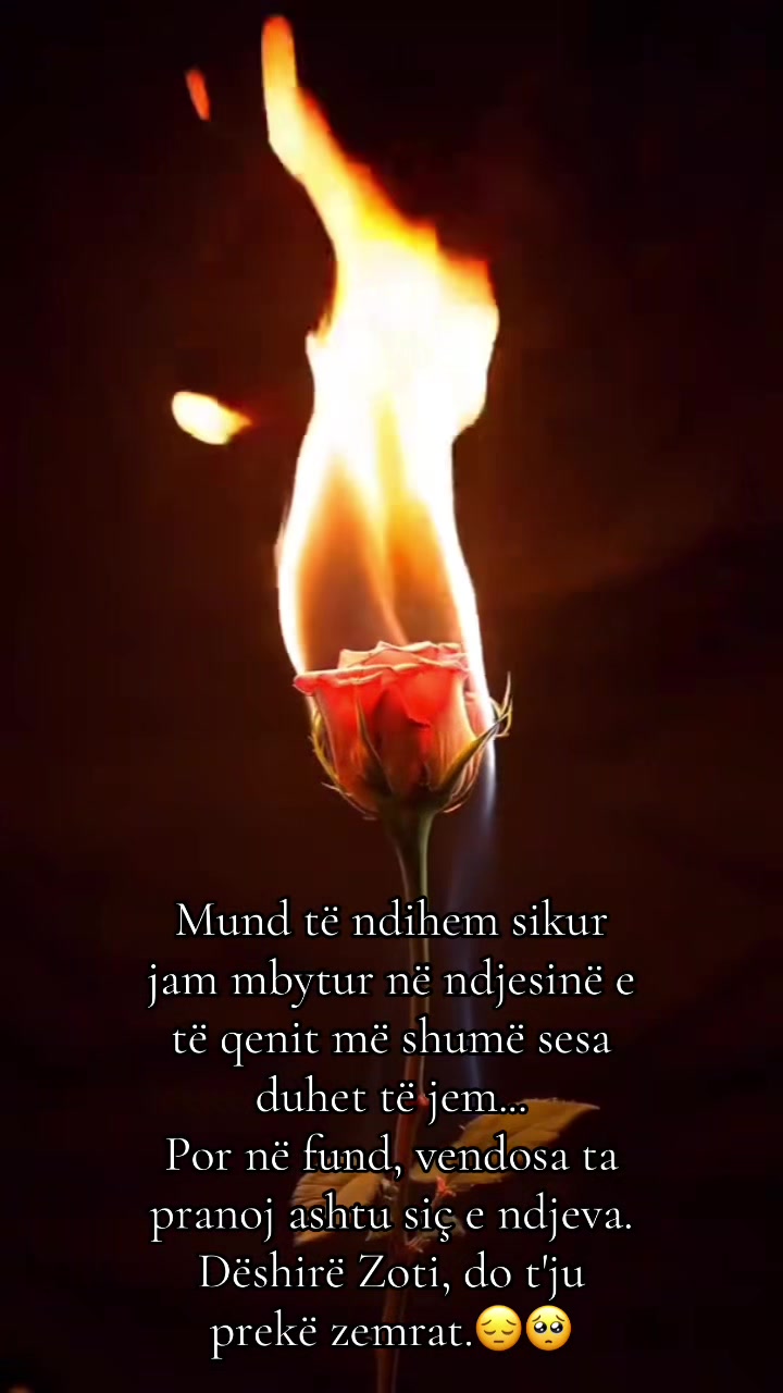 @֍֎⳼ⓢʸBuᛕ𝕣ᗩ✰✰
