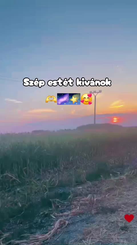 @👑Picis&aacute;rika👑