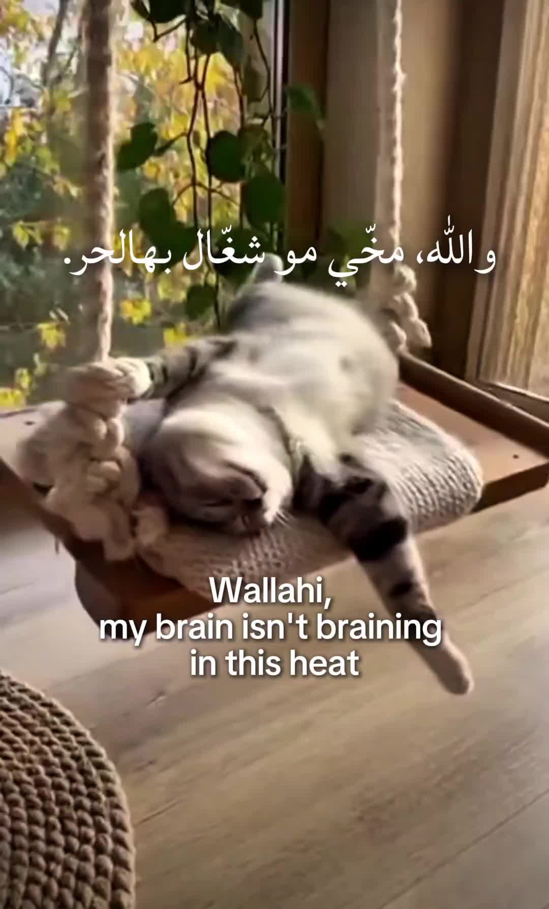 @꧁Mҽʅҽƙ꧂