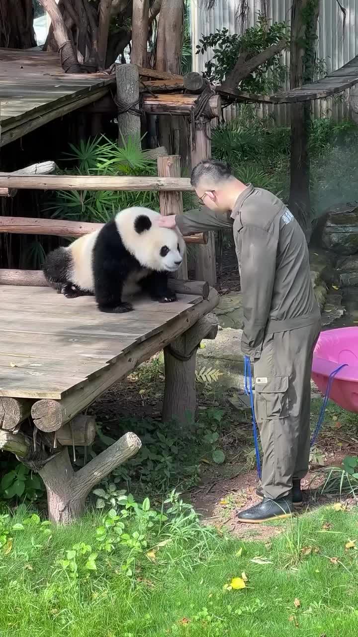 @pandy_pandaa
