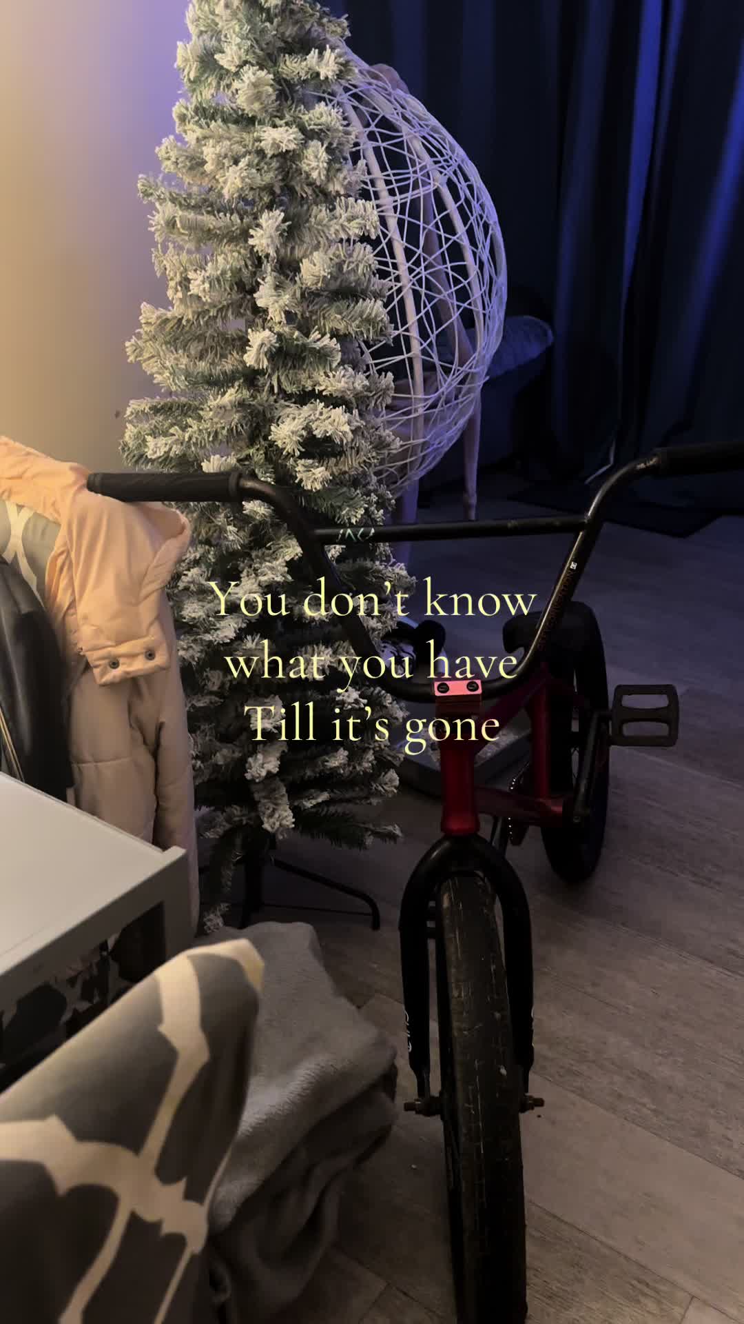 @Pleb on one wheel