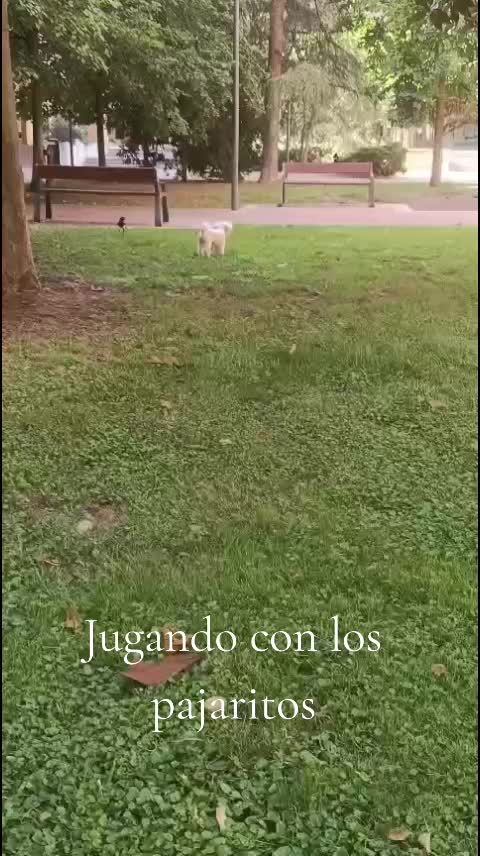 @Pili Ruiz