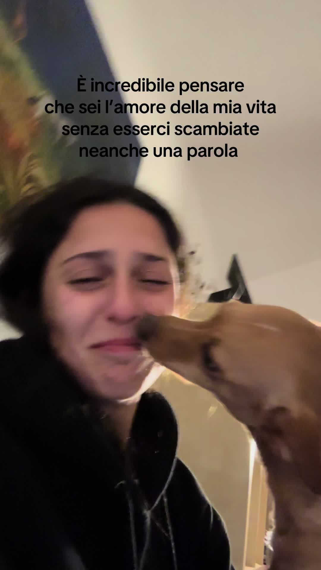 @_francescaleoneee_