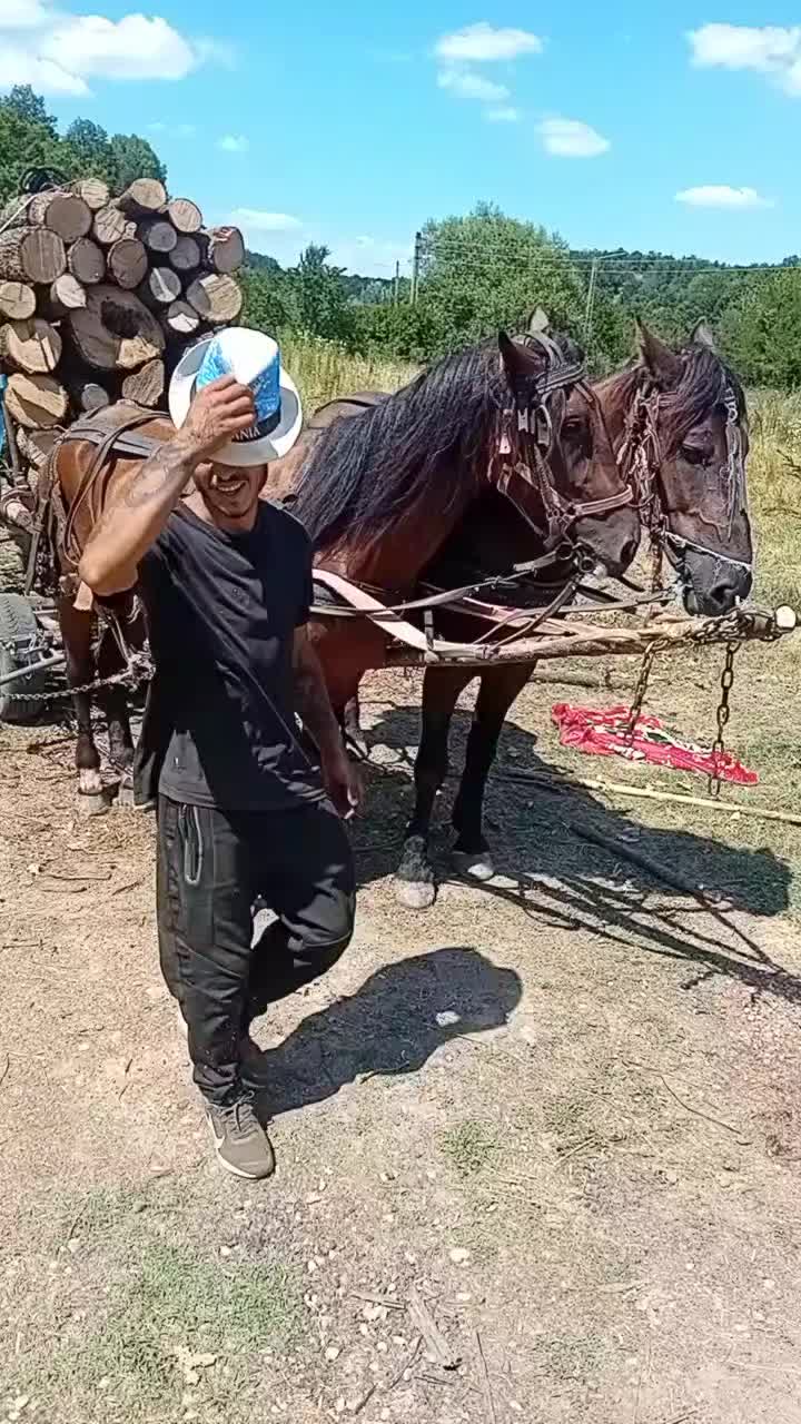 @Nicolae Stănescu