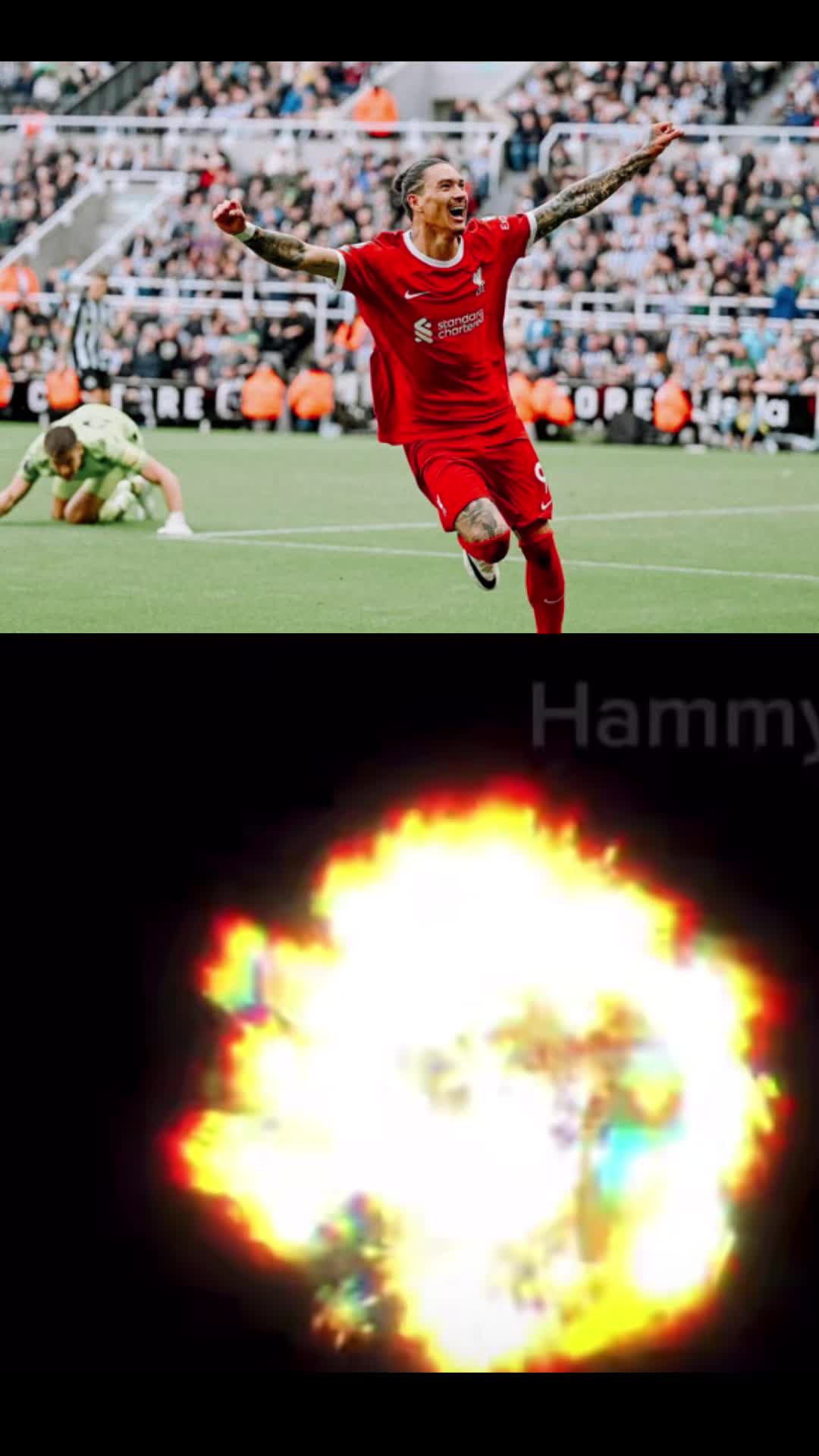 @darwizzytheking