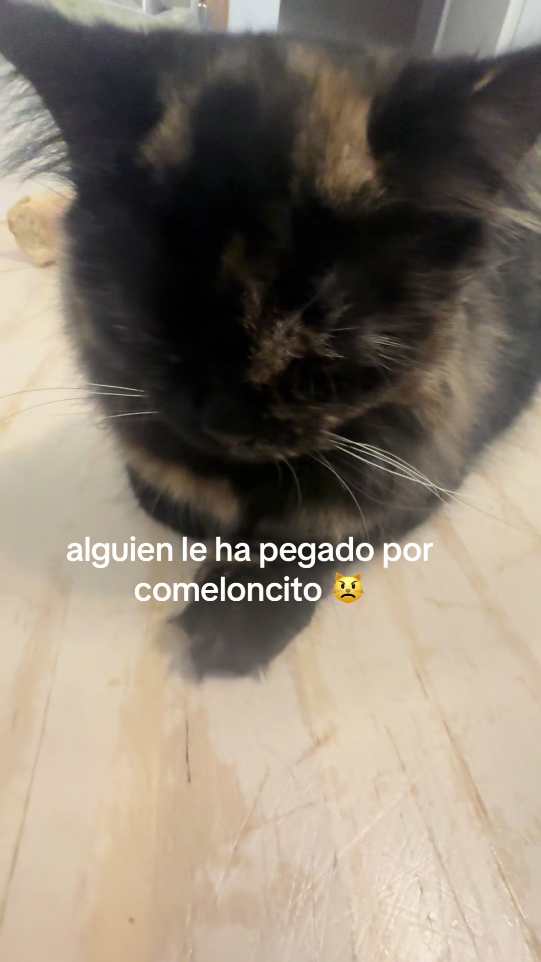 @swaggy