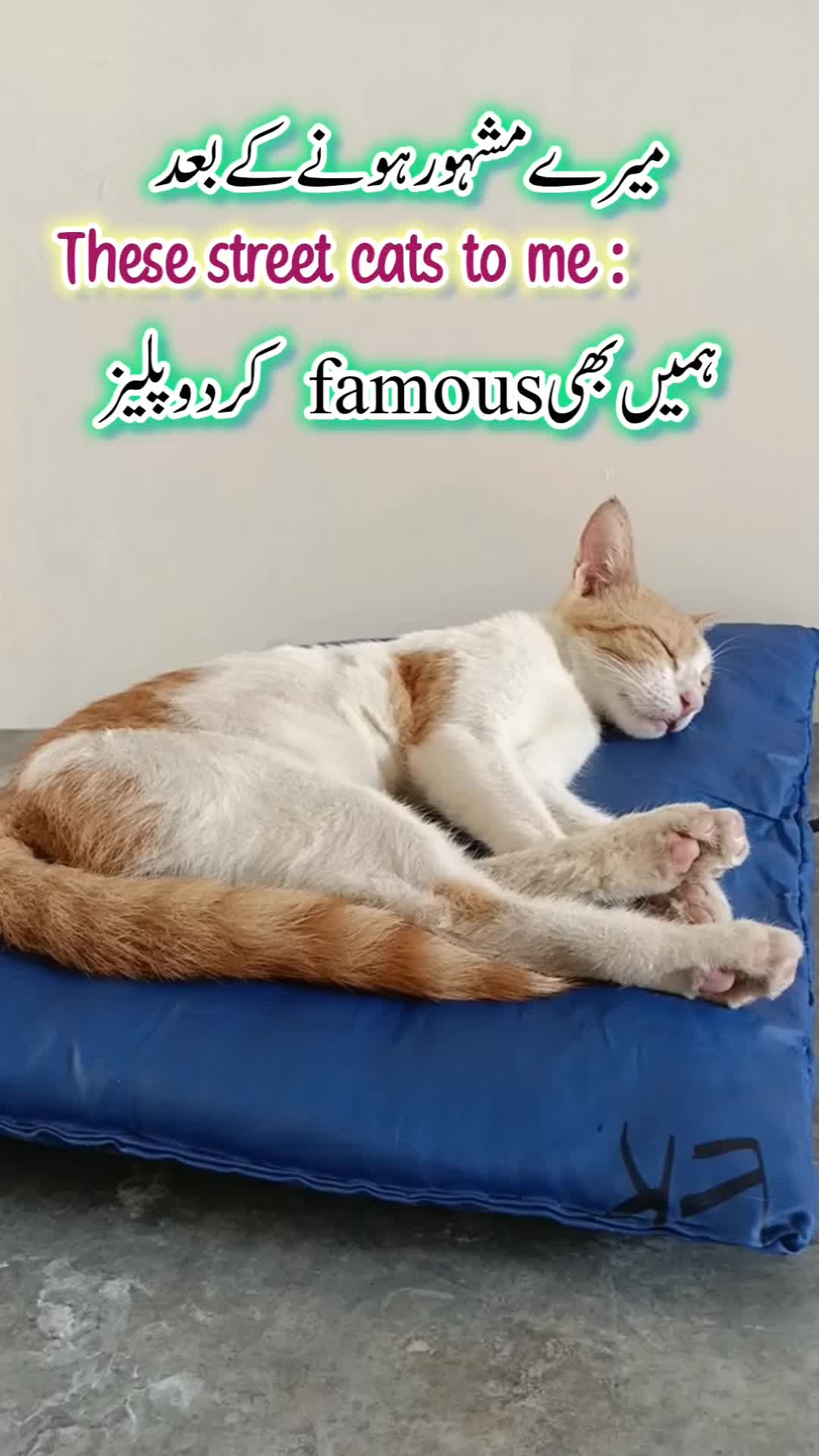 @𝑴𝒆𝒅𝑽𝒍𝒐𝒈 🌸🩺
