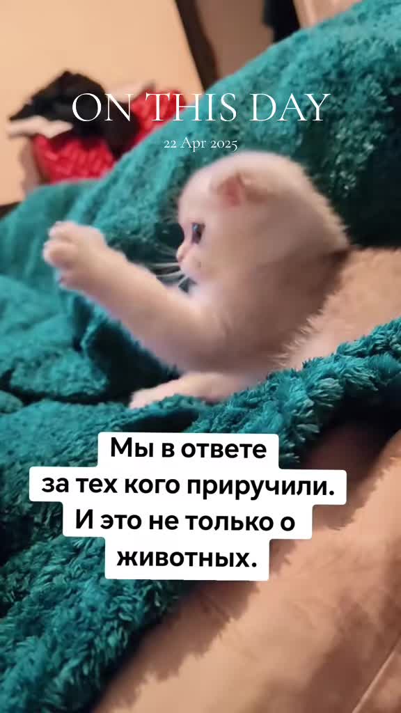 @рыженькая🦊🏍