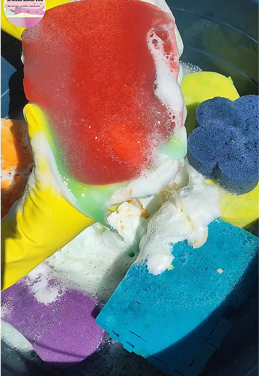 @HD Spongetok