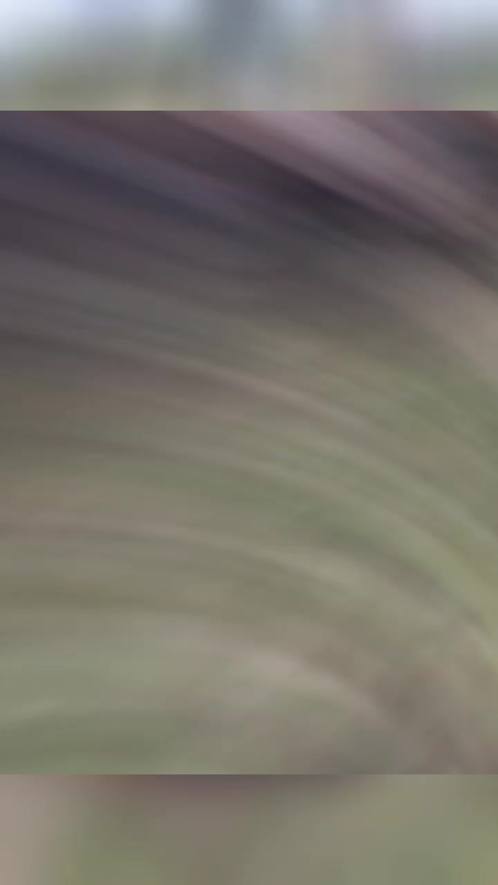 @thefreeroamer