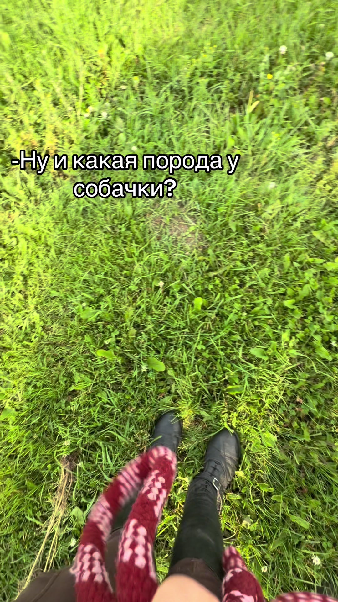 @𝐦𝐨𝐫𝐤𝐨𝐯𝐧𝐢𝐜𝐚🥕 ྀིྀ