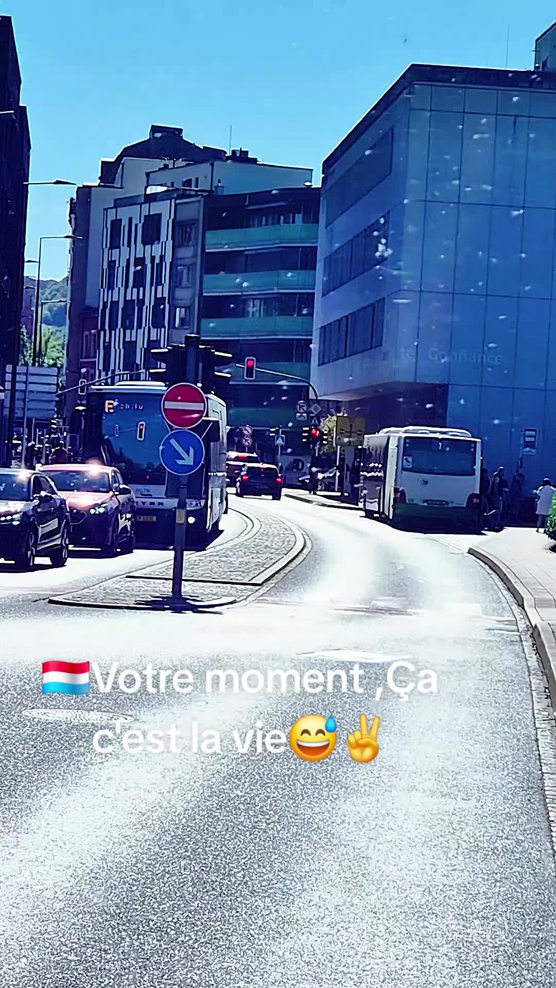 @Gra🙃ça🇱🇺 countrylife