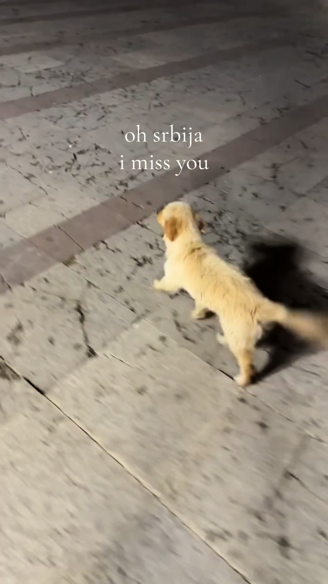 @𝐾𝑠𝑒𝑛𝑖𝑎