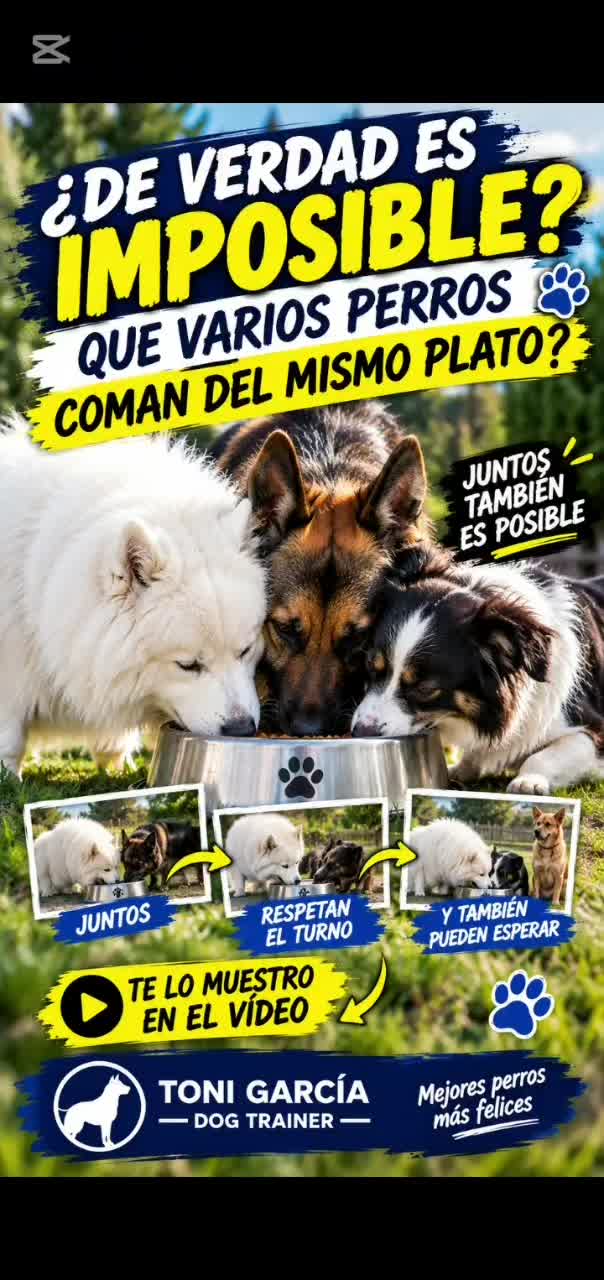 @EDUCADOG.COACHING🐾TONI GARCIA