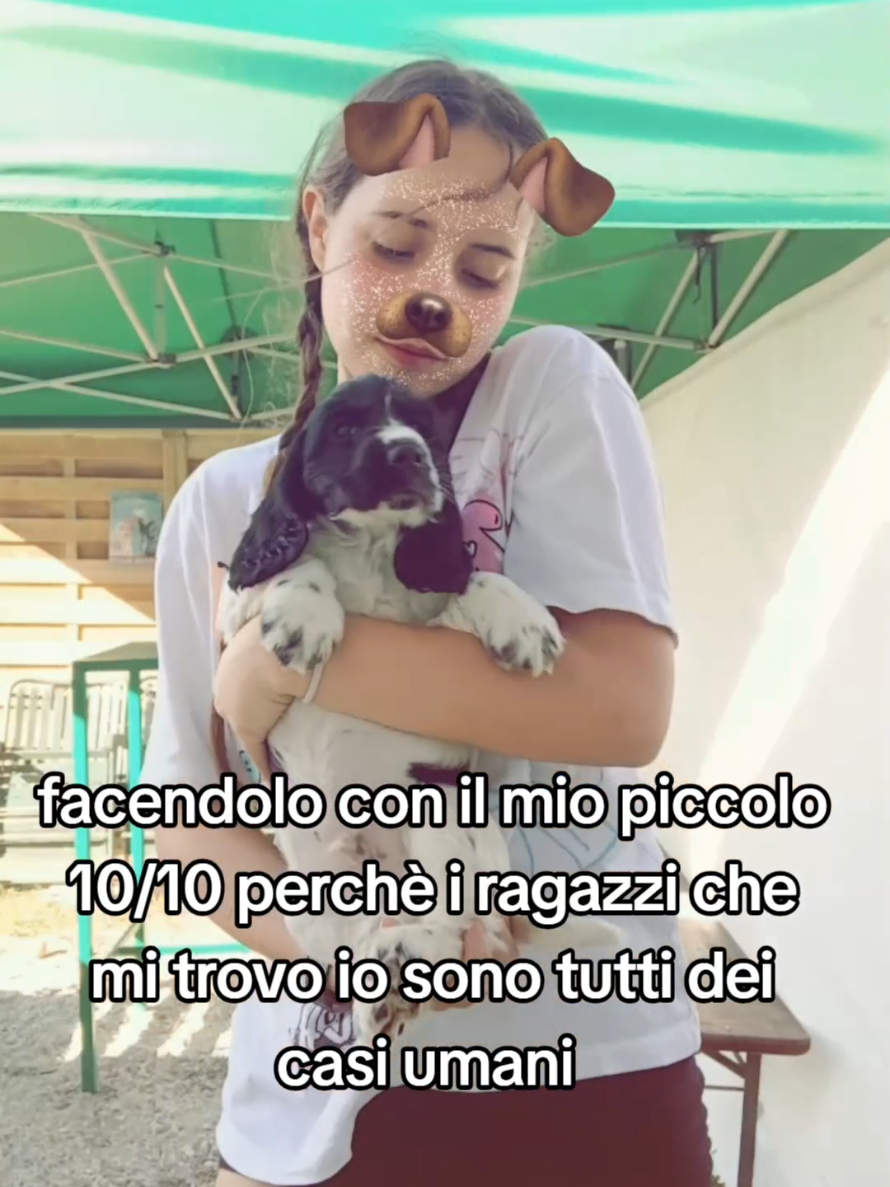 @mery_spamm