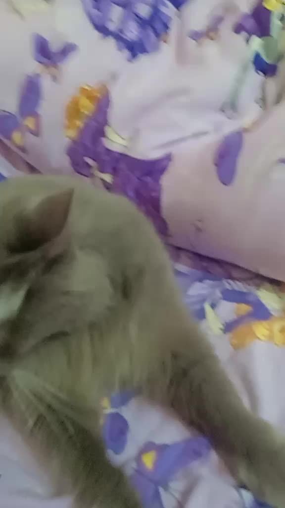 @ola