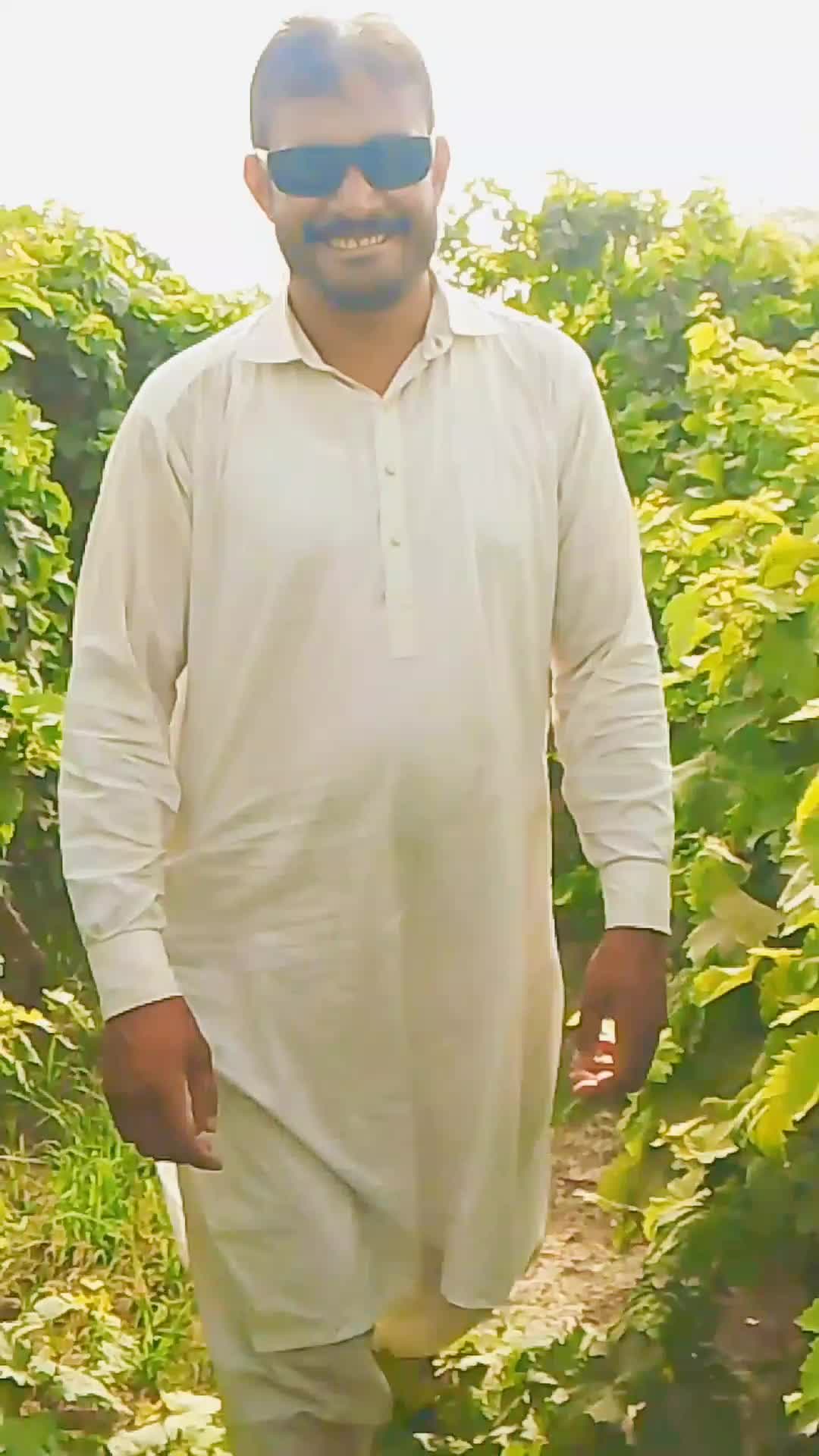 @dr.Mahar .Zada.Zeeshan.A8