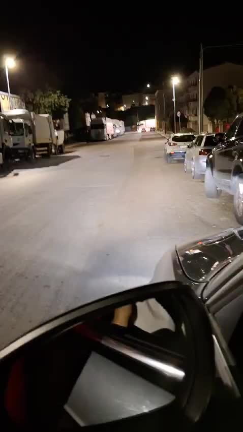 @michelescaglione