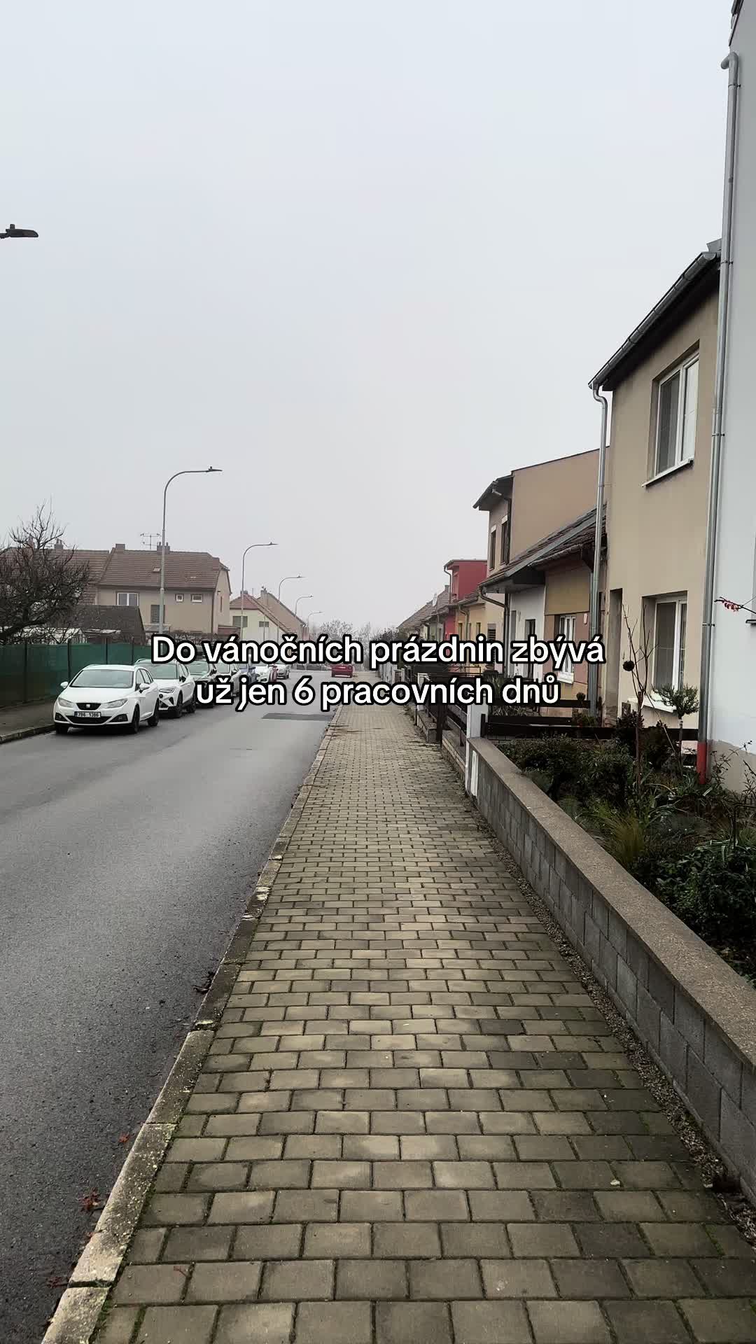 @prosteodpocty