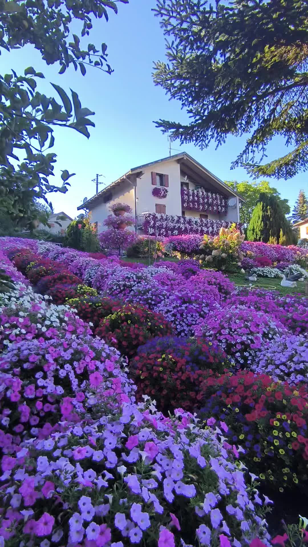@Elena Vulpe Pilipenc