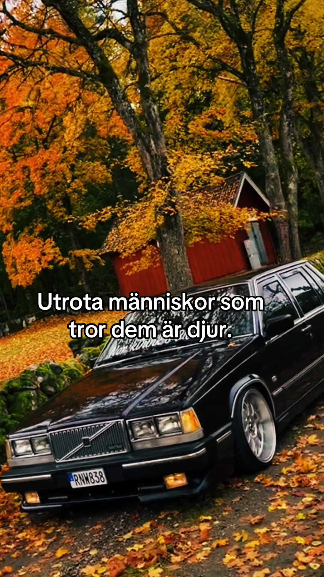 @𝚂❤️🔥