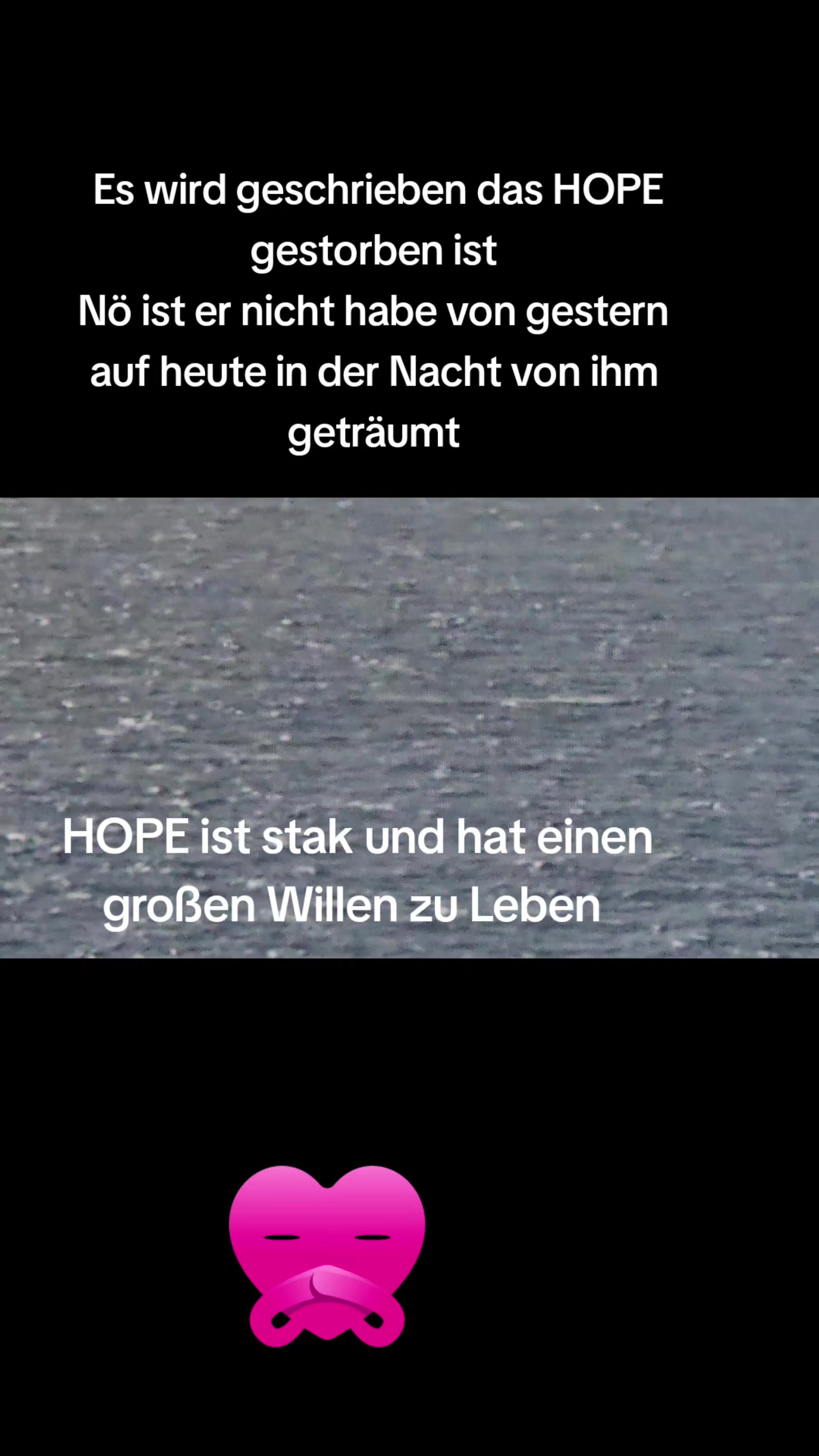 @Hope_for_the_Animals 🇦🇹