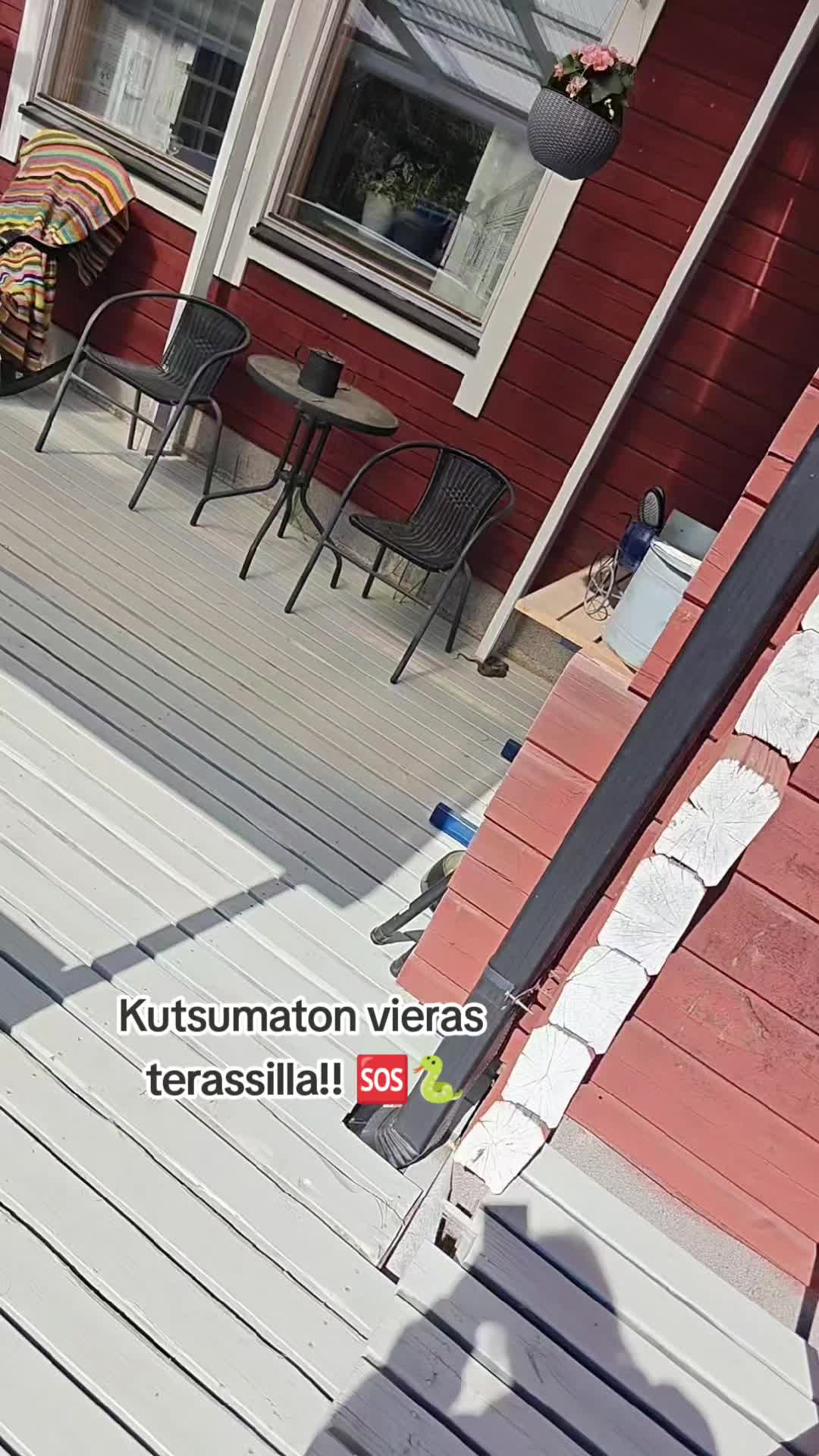 @tepiiii