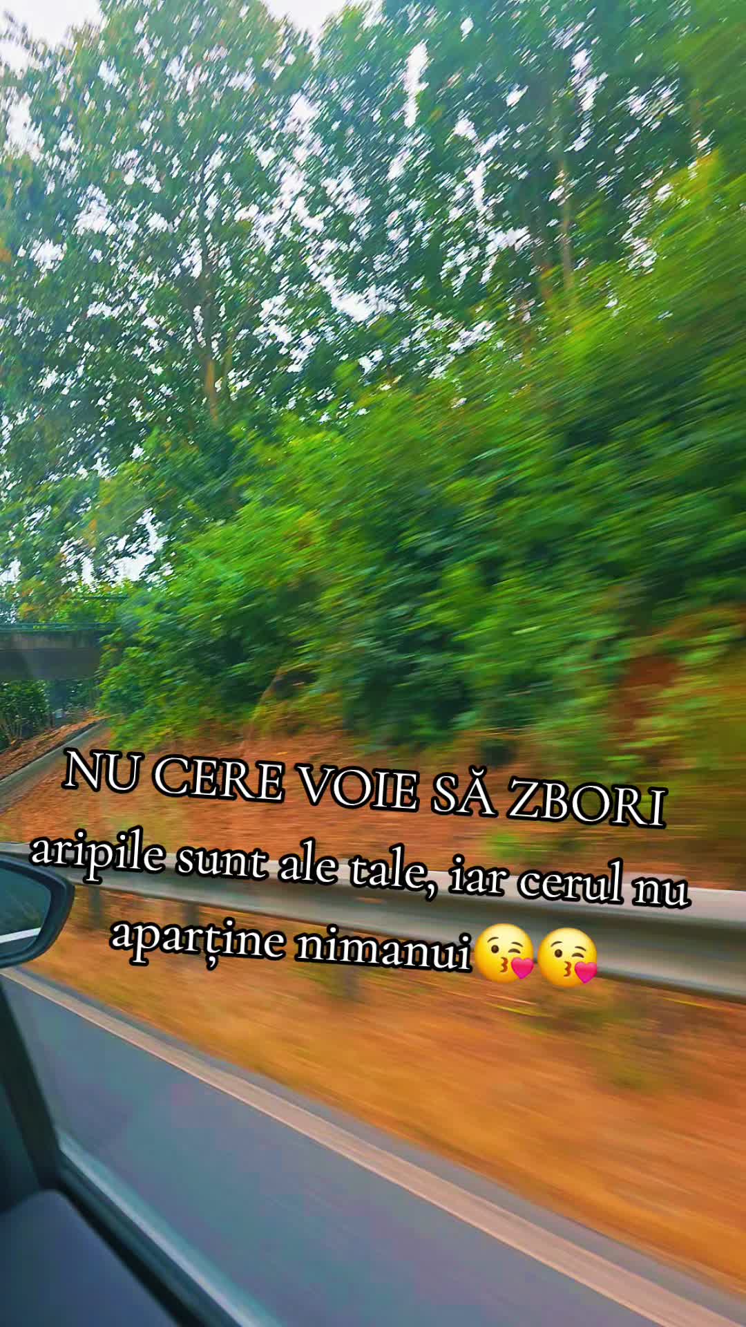 @😈 NIKOLETA 🙊TERORISTA😈