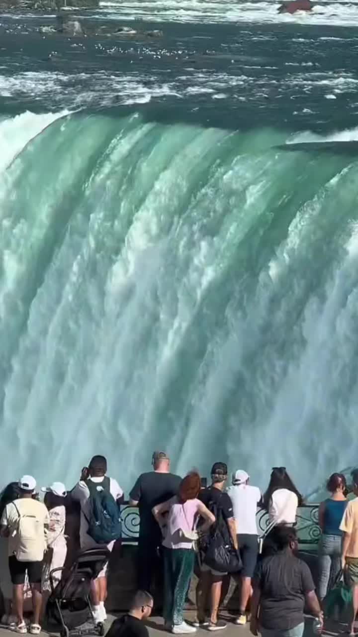 @جانم 💕🇬🇧