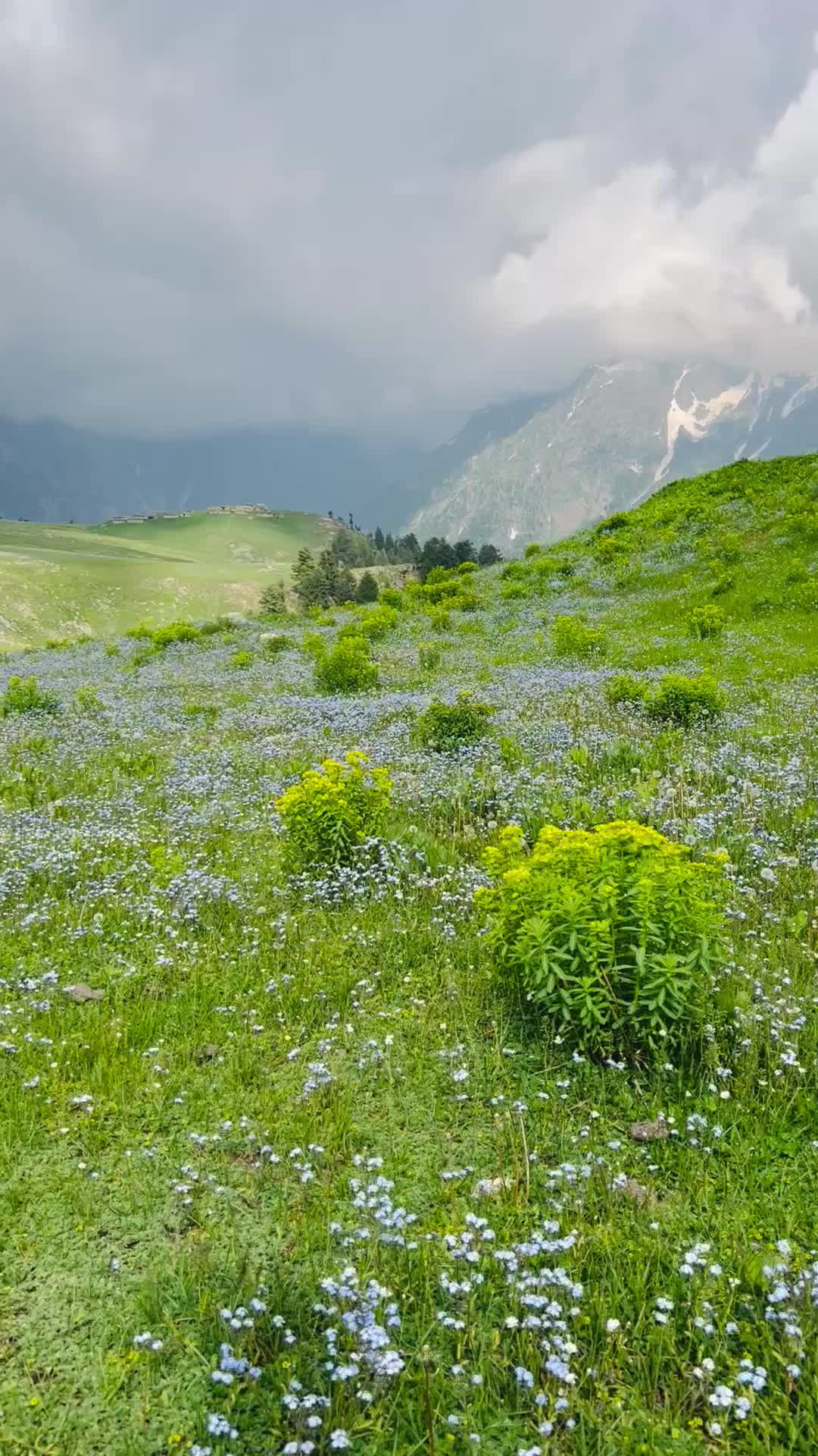 @Swat Valley