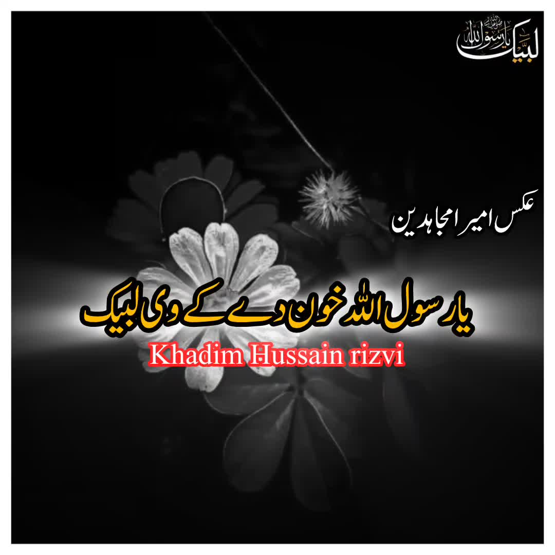 @☝️⭐༄گمنام مجاھد༄⭐💫