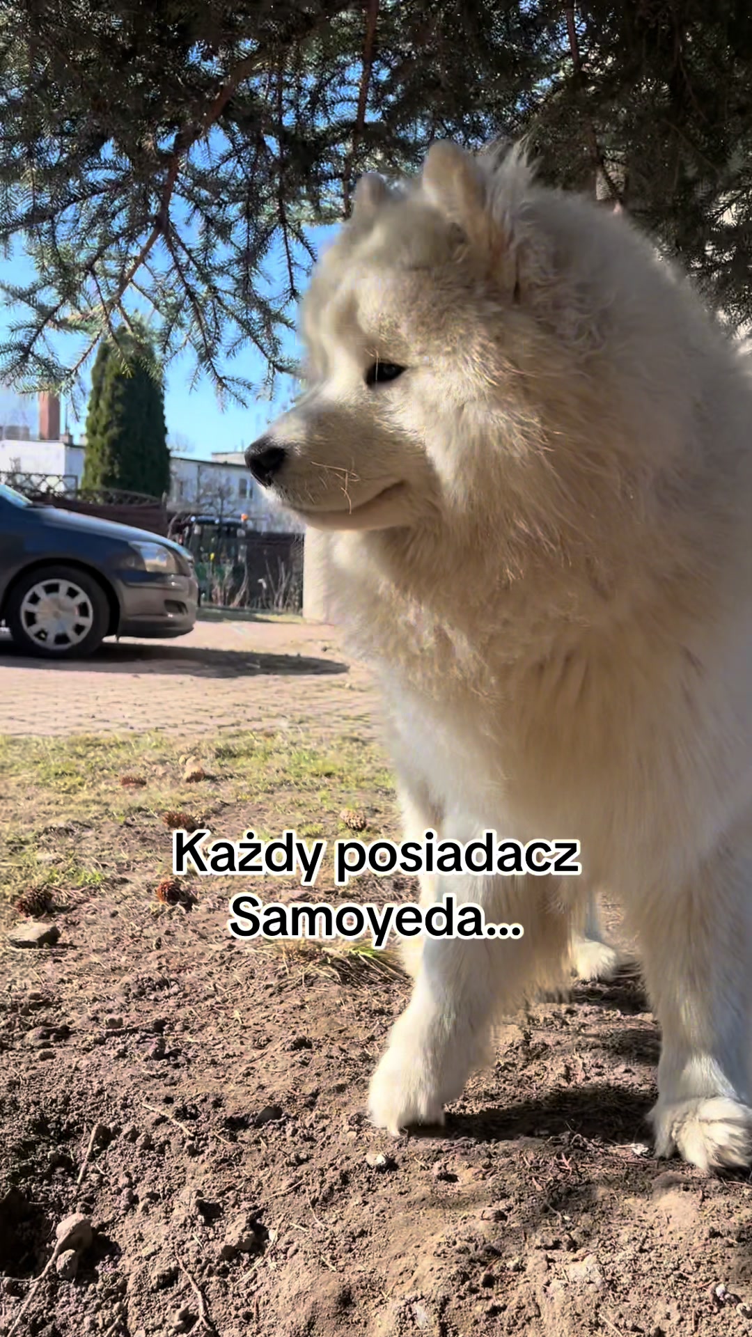@FVRMIZI