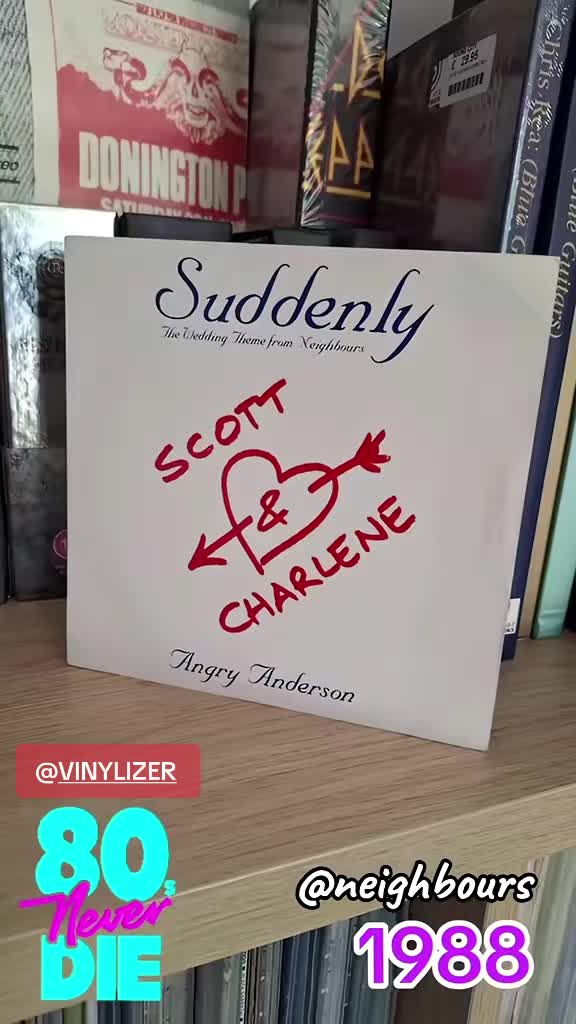 @VINYLIZER