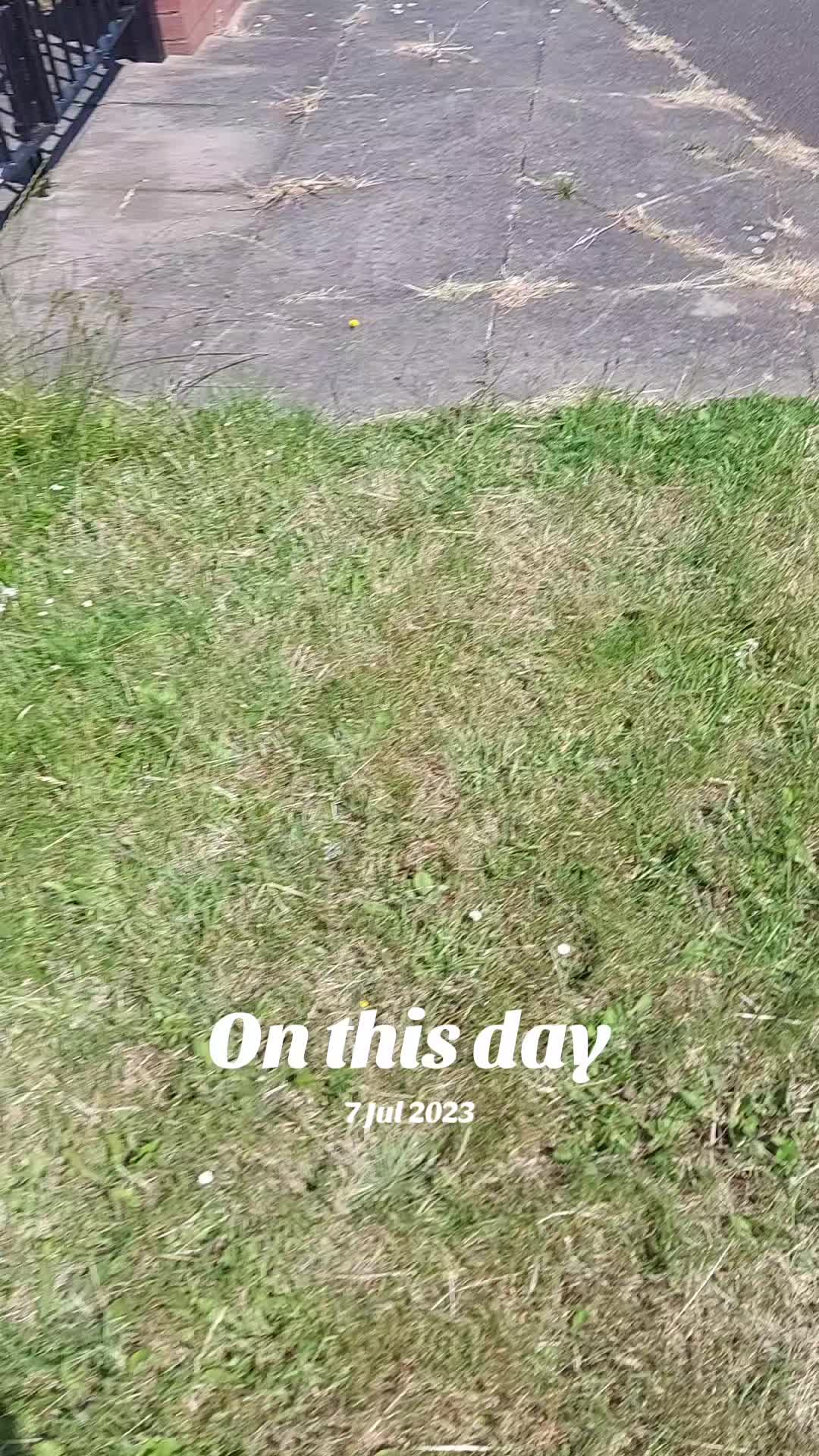@BrummyAdz