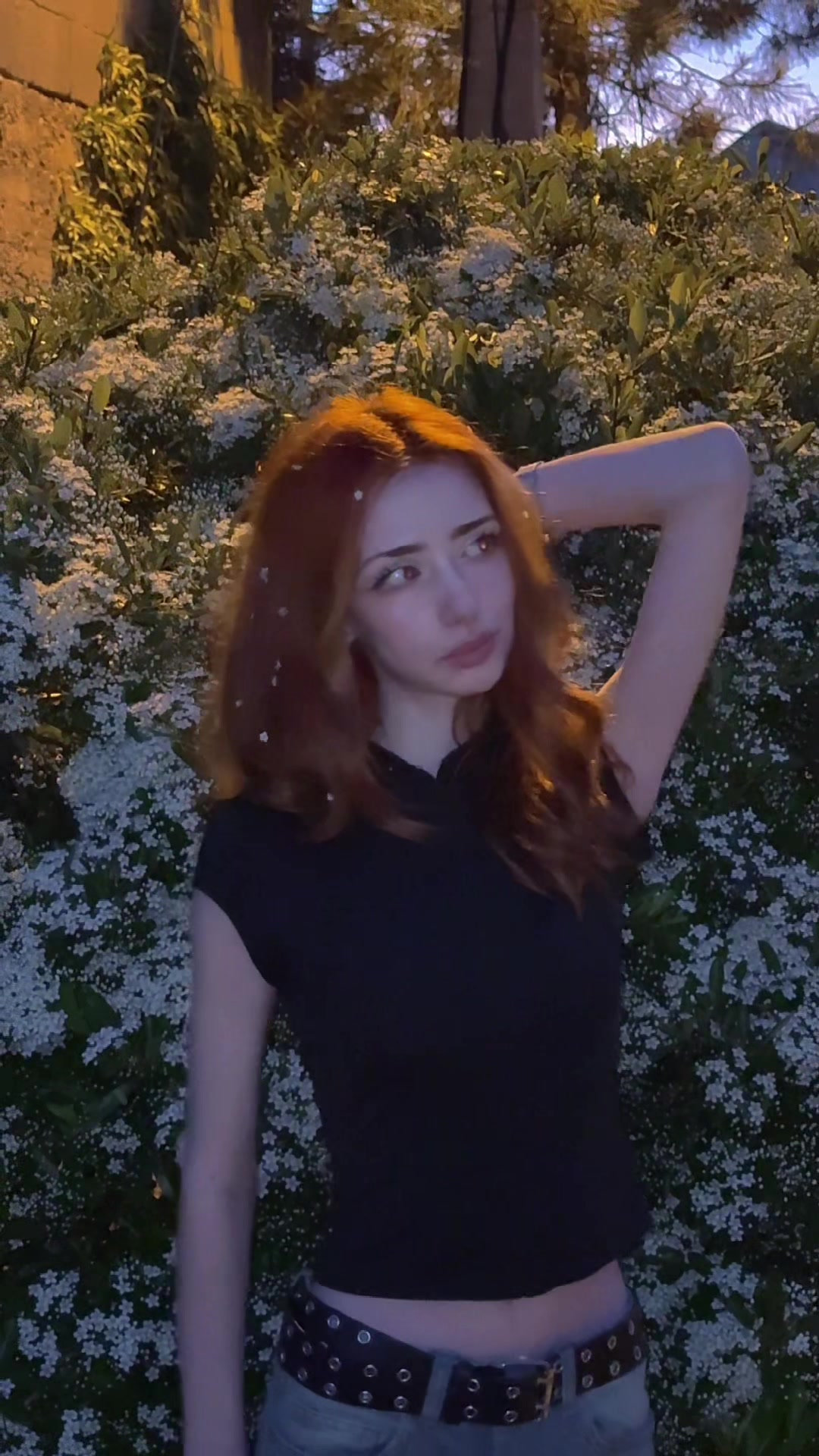@FEDALKA